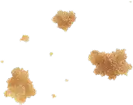 A cluster of cookie crumbs floating in mid air.